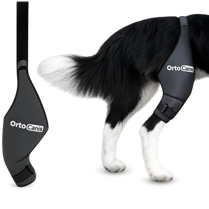 Inmovilizador de Rodilla para Perros de Neopreno | 9 Tallas
