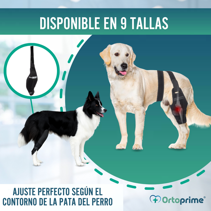 Inmovilizador de Rodilla para Perros de Neopreno | 9 Tallas