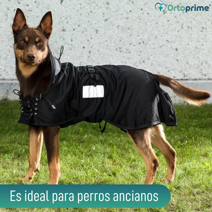 Manta Terapéutica Canina con Tejido Back on Track | 21 Tallas