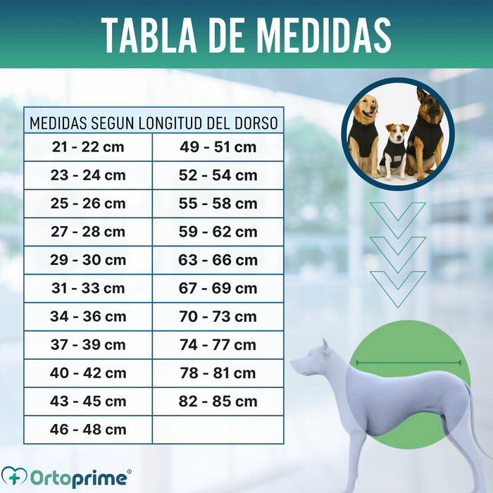 Manta Terapéutica Canina con Tejido Back on Track | 21 Tallas