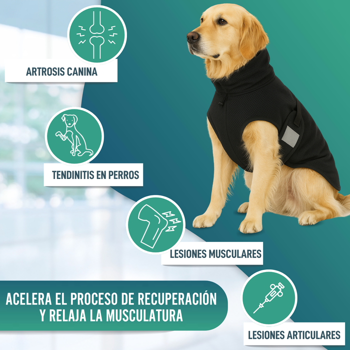 Manta Terapéutica Canina con Tejido Back on Track | 21 Tallas