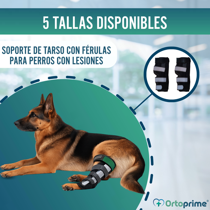 Soporte de Tarso Canino con Férulas Extraíbles | 2 Unidades