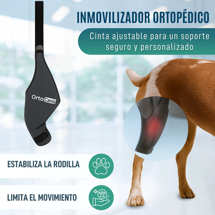 Inmovilizador de Rodilla para Perros de Neopreno | 9 Tallas