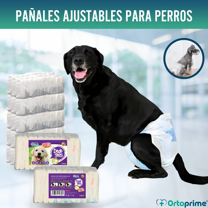 Pañales Caninos para Hembras y Cachorros | Máxima Absorción
