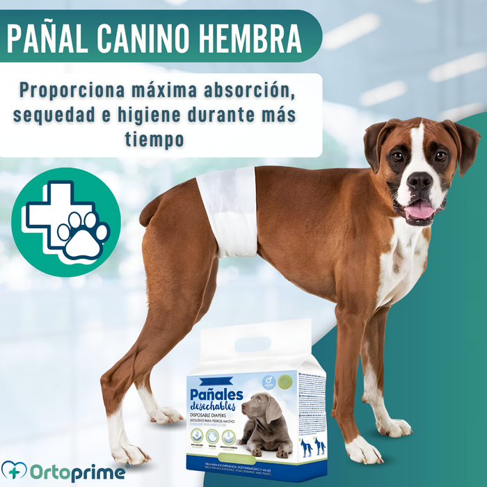 Pañales para Perro Macho Ultra Absorbente | Pack 12 Unidades