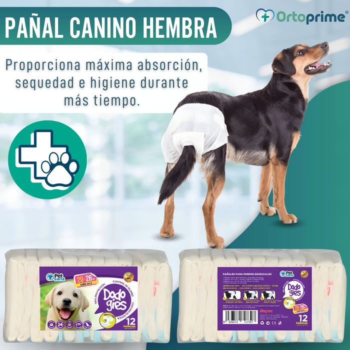 Pañales Caninos para Hembras y Cachorros | Máxima Absorción