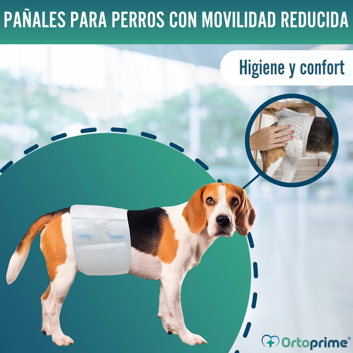 Pañales para Perro Macho Ultra Absorbente | Pack 12 Unidades