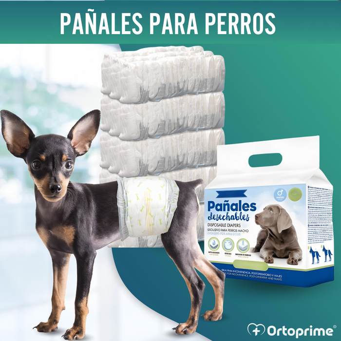 Pañales para Perro Macho Ultra Absorbente | Pack 12 Unidades