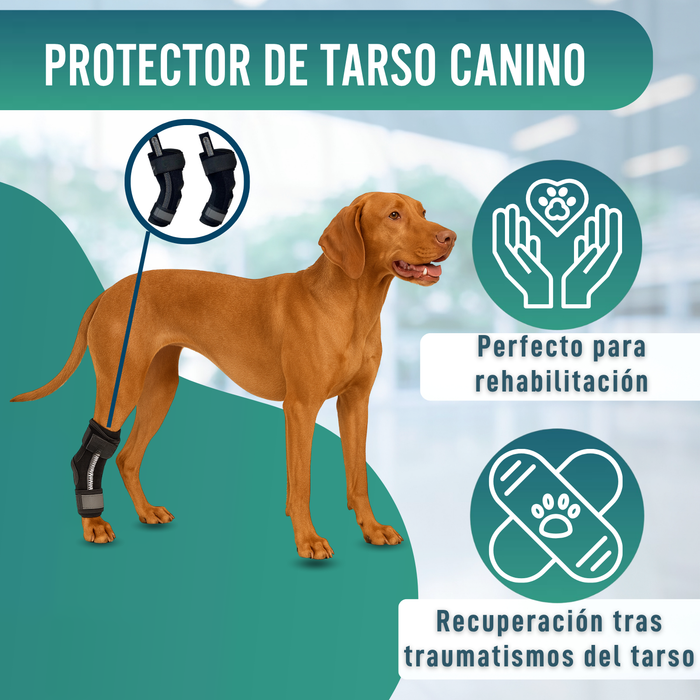 Soporte de Tarso Canino con Férulas Extraíbles | 2 Unidades