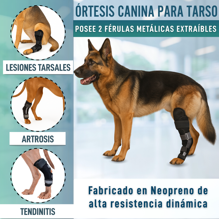 Soporte de Tarso Canino con Férulas Extraíbles | 2 Unidades