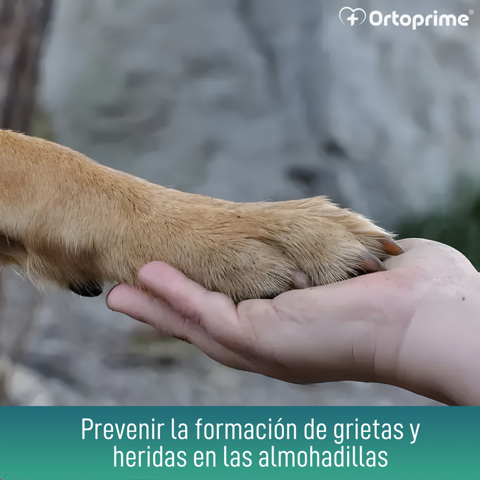 Gel Protector de Almohadillas para Perros | Aloe Vera 50ml