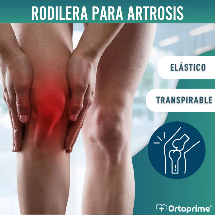 Rodillera para Artrosis | Protector de rodilla en 3 Tallas