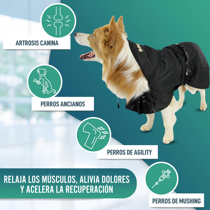Abrigo Térmico Impermeable para Perros | Back on Track