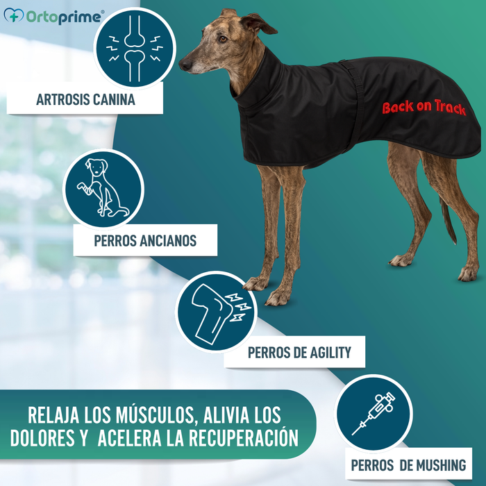 Abrigo Térmico Impermeable para Perro Galgo | 2 Tallas