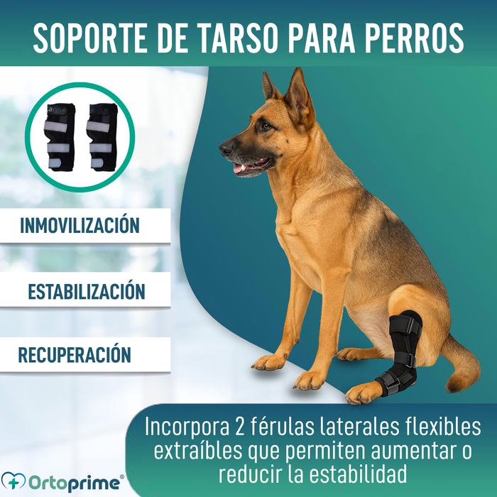 Soporte de Tarso Canino con Férulas Extraíbles | 2 Unidades