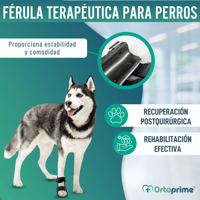 Férula de Bota Corta para Perros con Knuckling | 5 Tallas