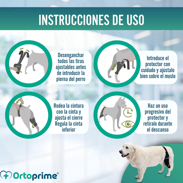 Inmovilizador de Rodilla para Perros de Neopreno | 9 Tallas