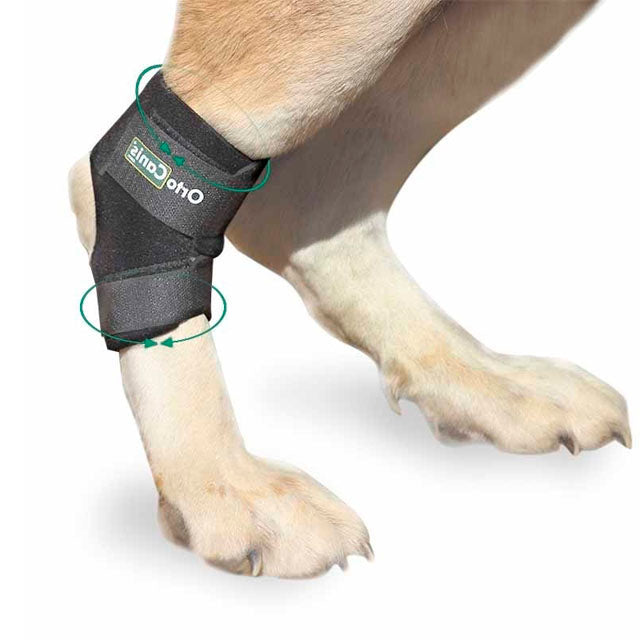 soporte-tarso-perro-ortoprime
