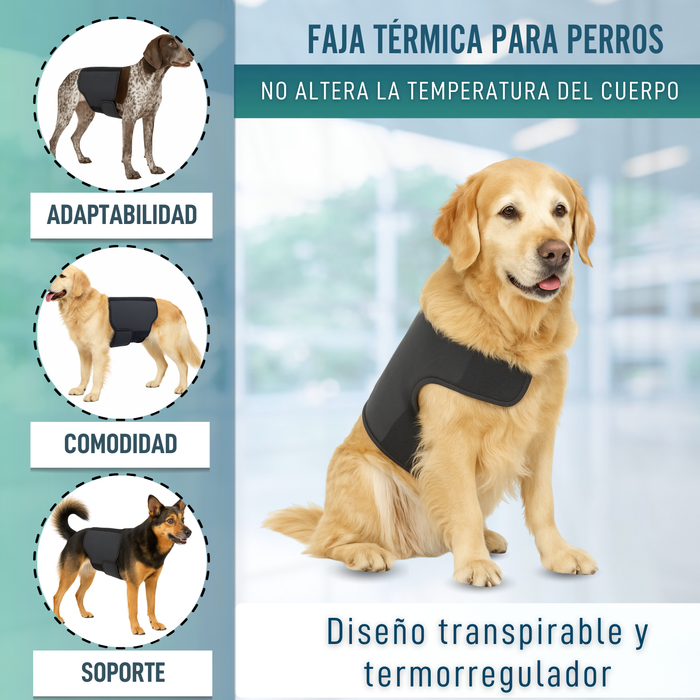 Soporte Térmico Canino Back on Track | Faja para la espalda