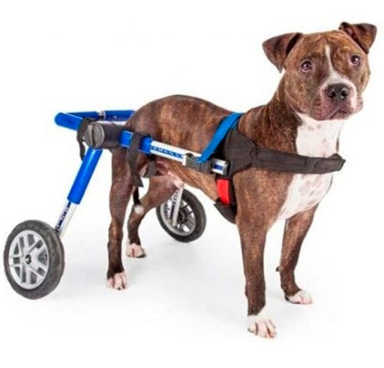 Silla de ruedas para perros para patas traseras, carritos para perros  pequeños con ruedas, silla de ruedas ajustable para perros con  discapacidades