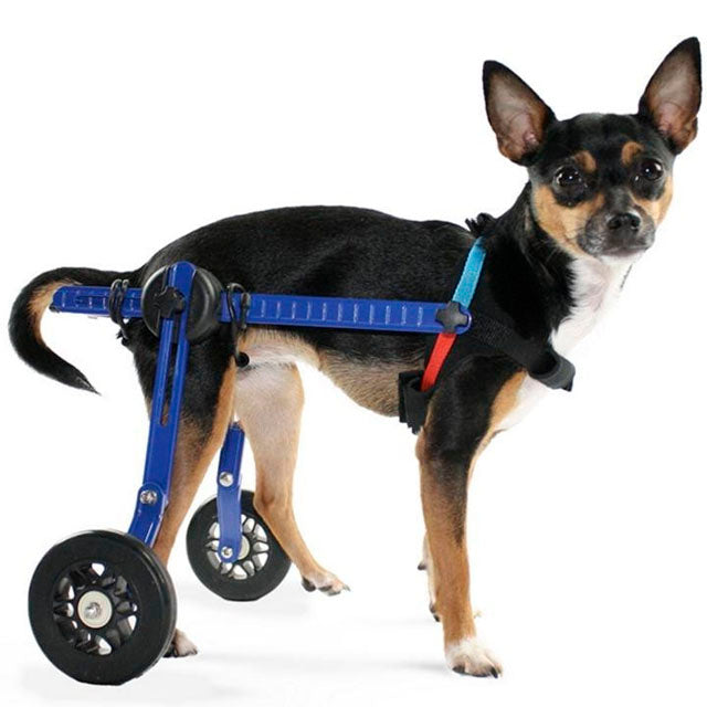 Carrito de silla de ruedas para perro, silla de ruedas para perro