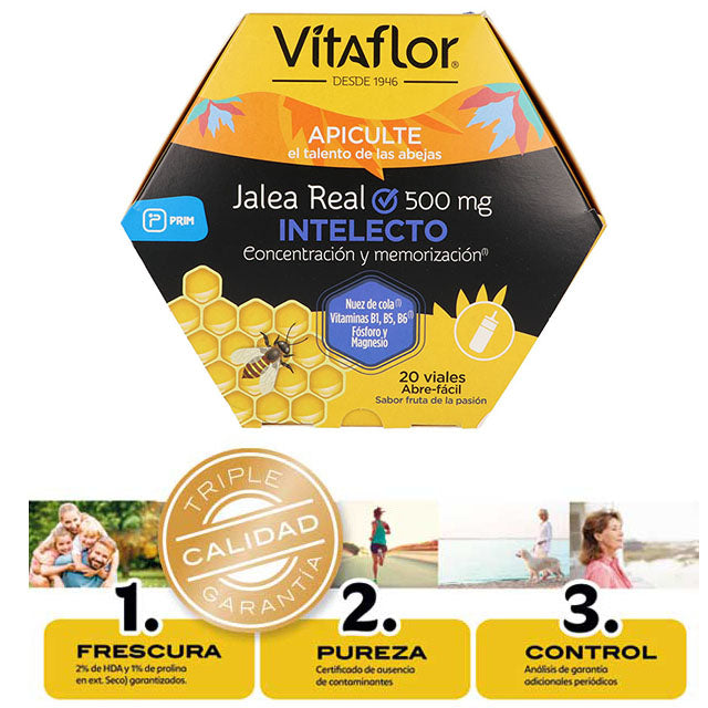 vitaflor-intelecto-vitaminas-para-la-memoria-concentracion-ortoprime